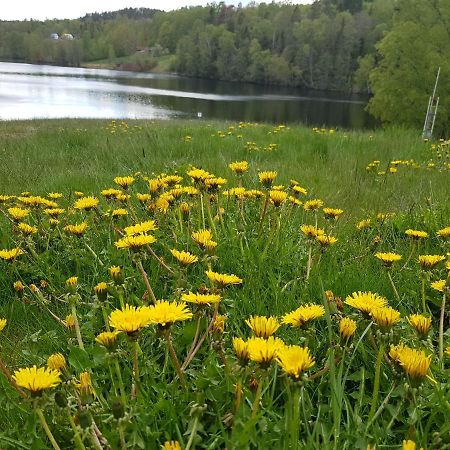 Apartments "Ecohouse" Nearby Haverud Dalsland Sweden Åsensbruk Exterior foto